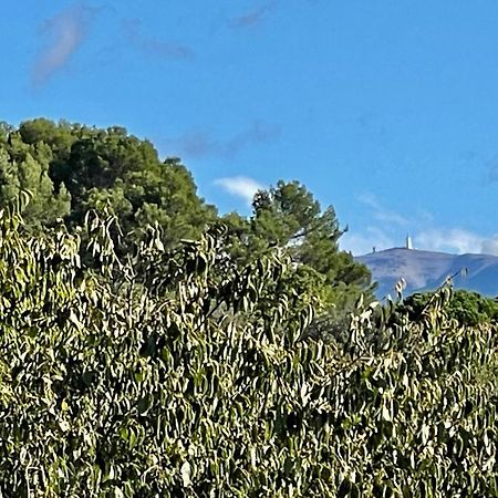 Le Mas De Mirabel Buitenkant foto