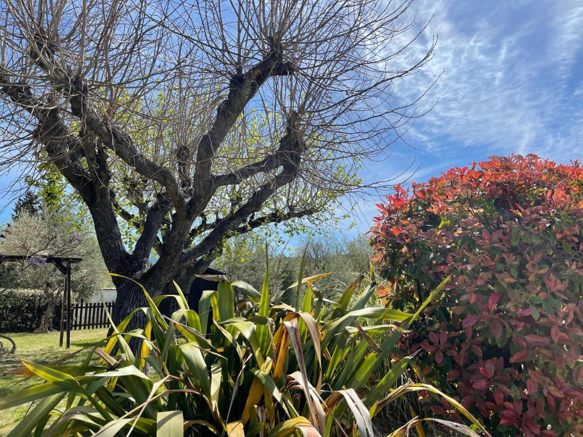 Le Mas De Mirabel Buitenkant foto