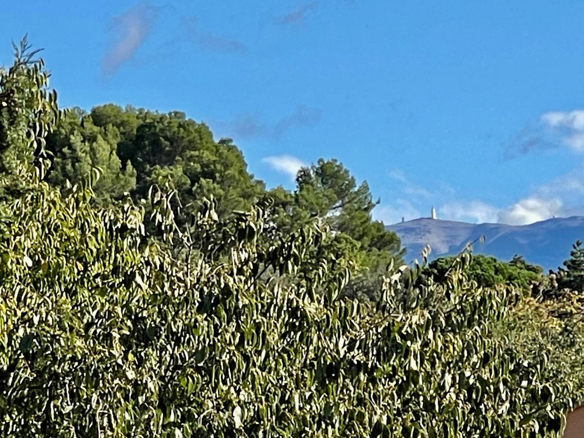 Le Mas De Mirabel Buitenkant foto