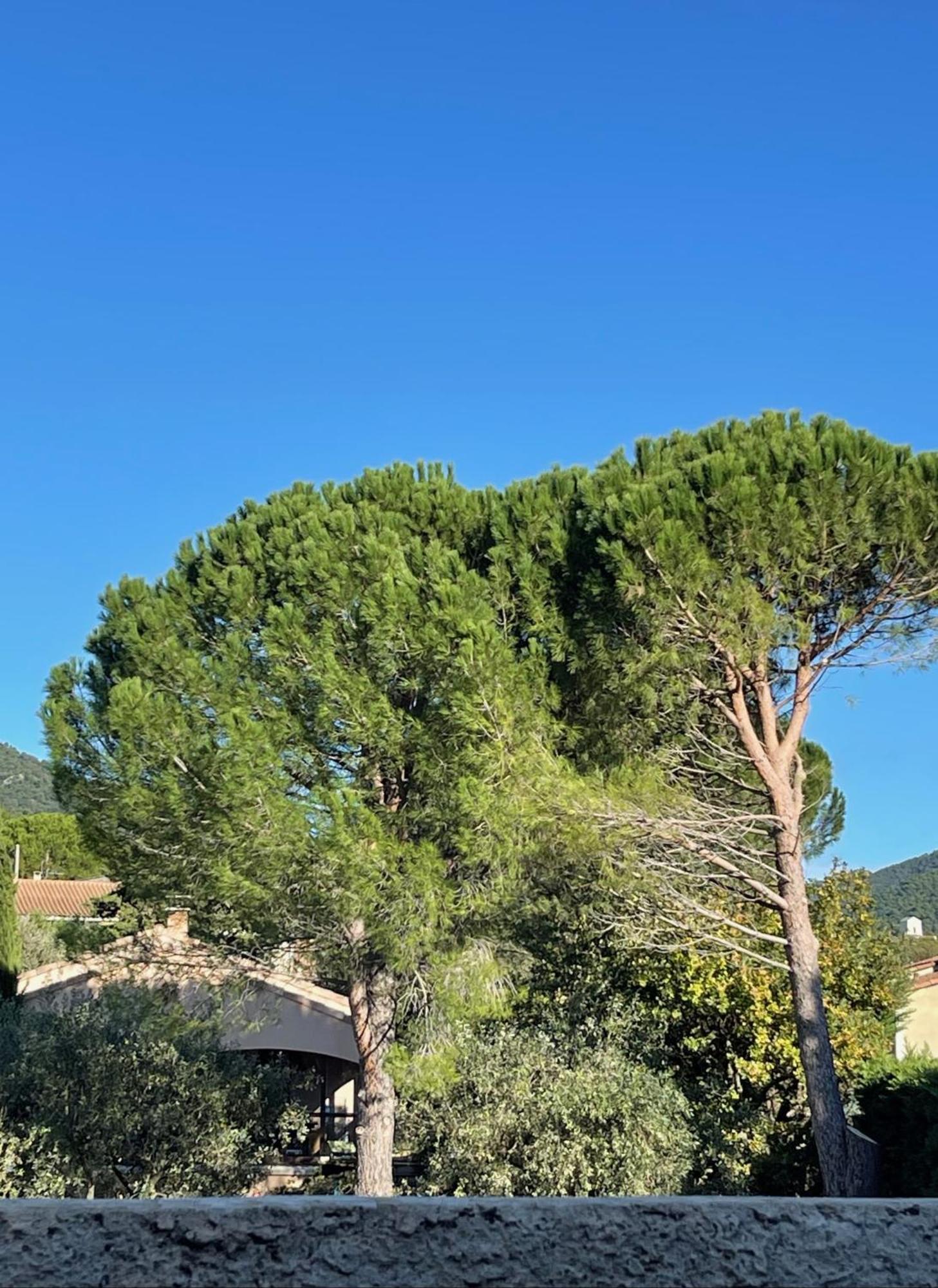 Le Mas De Mirabel Buitenkant foto